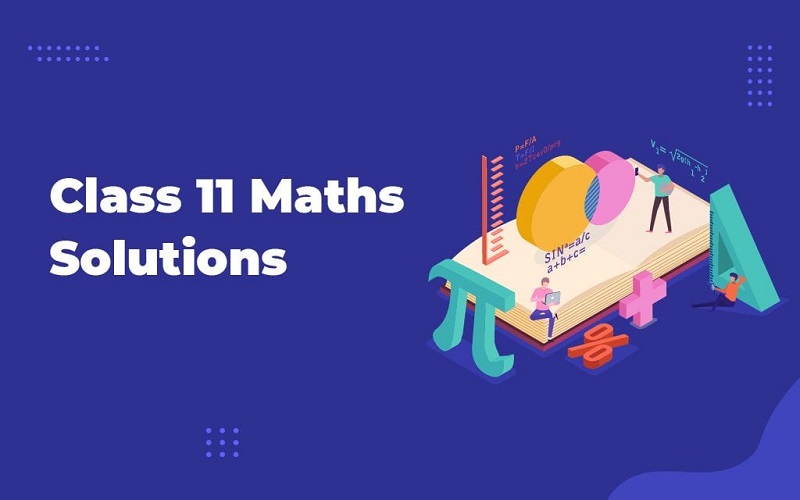 11th Maths Classes